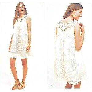 Anthropologie Sleeveless Vanessa Cottonwood Lace Tunic Swing Dress  Sz 6
